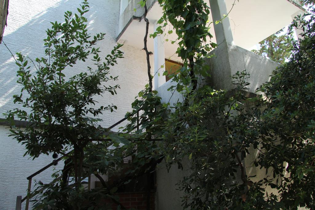 Novalja Guesthouse Economy Rooms 外观 照片